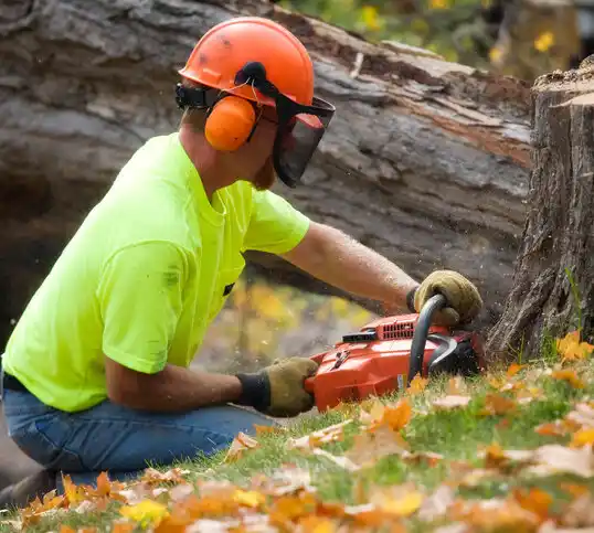 tree services Malmstrom AFB